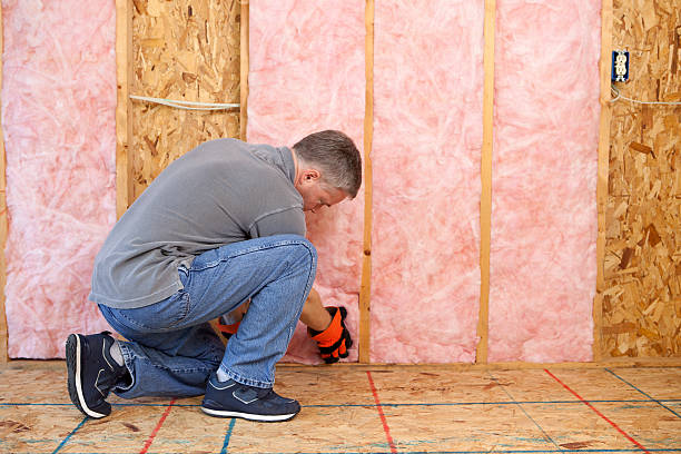 Best Specialized Insulation Services in Mount Ora, OH